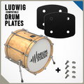 Ludwig Compatible Bass Drum Masking Plate (Elite Mount), 3D printed drum part - photo 1